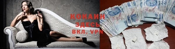 твердый Кодинск