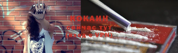 твердый Кодинск