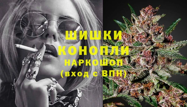 шишки Бердск