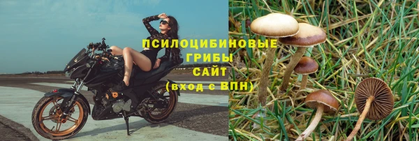 твердый Кодинск