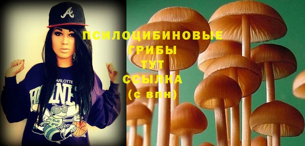дмт Козельск