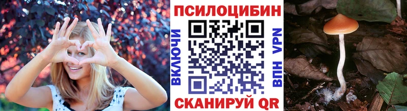 Галлюциногенные грибы Cubensis  Краснослободск 